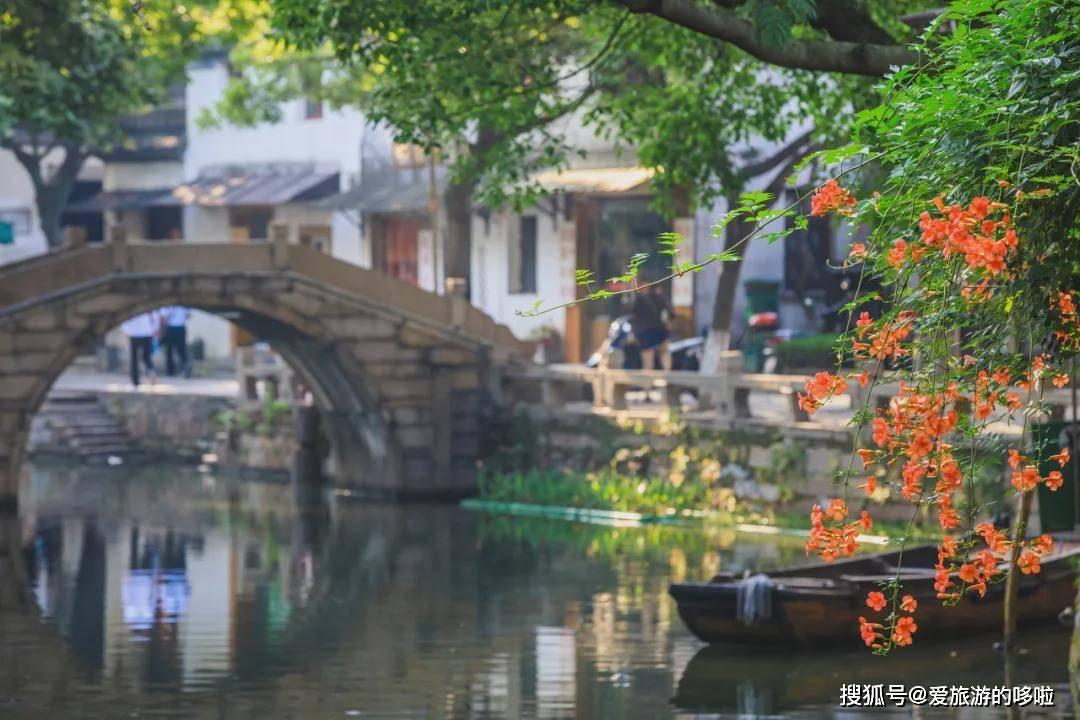 全民烧脑3去广告版